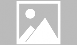 91鱼鱼直播,揭秘网红直播背后的精彩世界